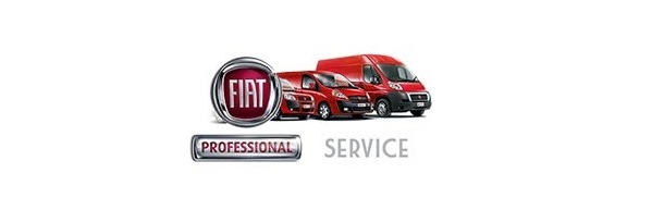 FIAT Professsional Service