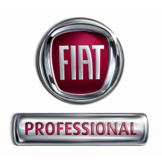 FIAT PROFESSIONAL